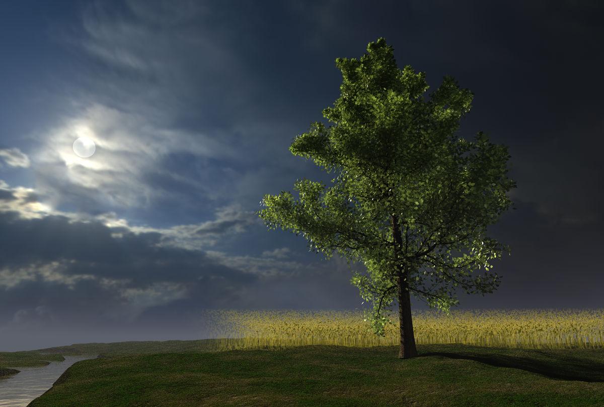 Tree and Grainfield